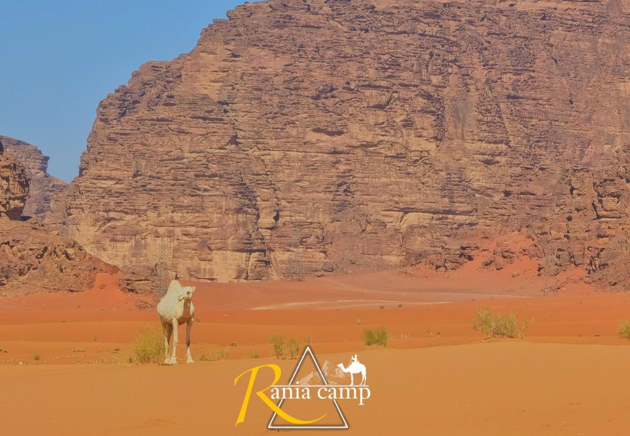 Wadi Rum,Rania Camp Esterno foto
